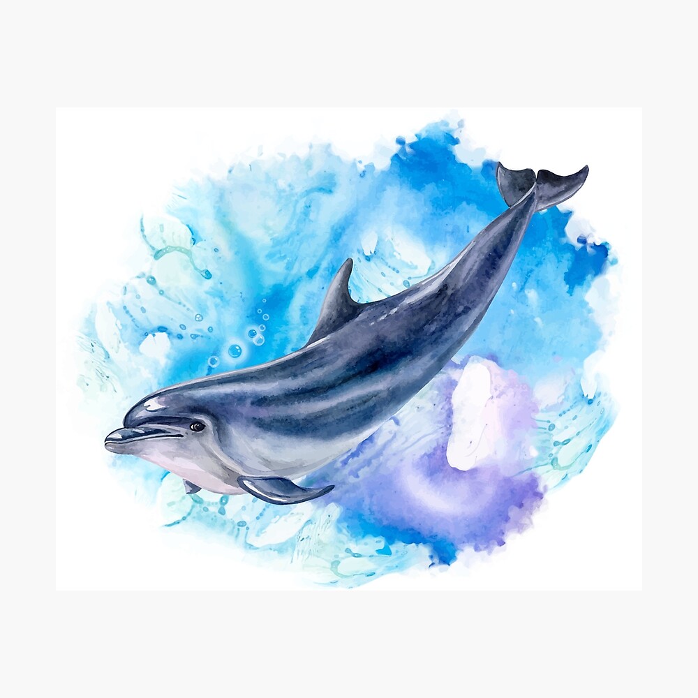 Aflyko Marine Girls Warm Coat Dolphin Blue Watercolor