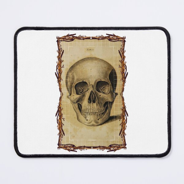 Item preview, Anatomical board Skull - Anatomical designs, human body and anatomy boards designed and sold by AdvanceDesign.