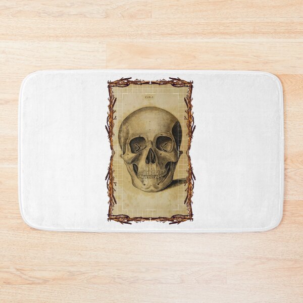 Item preview, Anatomical board Skull - Anatomical designs, human body and anatomy boards designed and sold by AdvanceDesign.