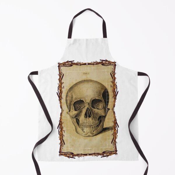 Item preview, Anatomical board Skull - Anatomical designs, human body and anatomy boards designed and sold by AdvanceDesign.