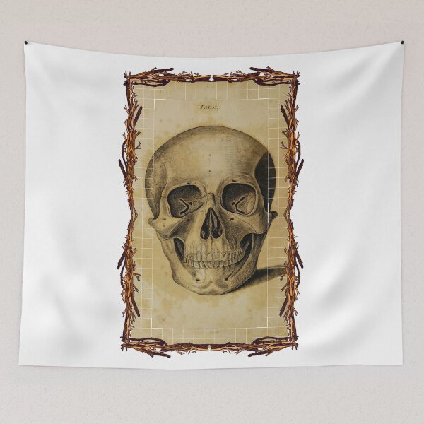 Item preview, Anatomical board Skull - Anatomical designs, human body and anatomy boards designed and sold by AdvanceDesign.
