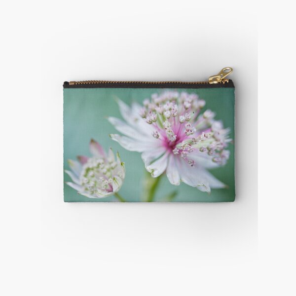 Item preview, Astrantia softness designed and sold by Zoe Power.