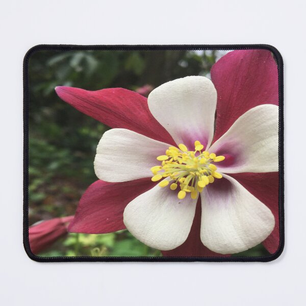 Item preview, Ranuncula for You designed and sold by Jenie Yolland.