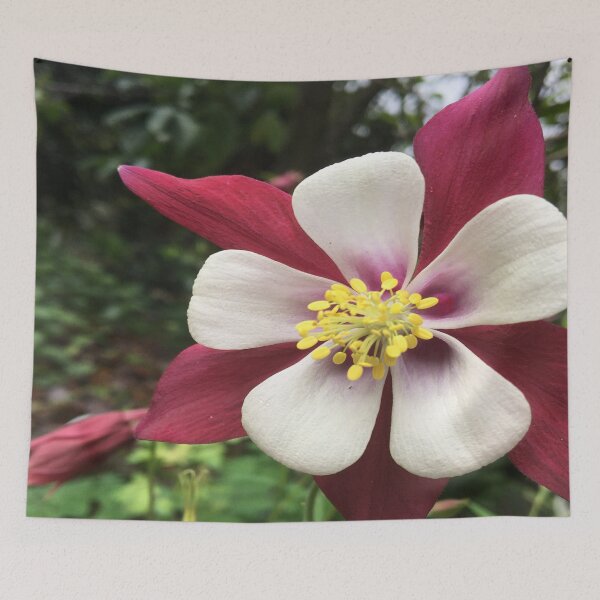Item preview, Ranuncula for You designed and sold by Jenie Yolland.