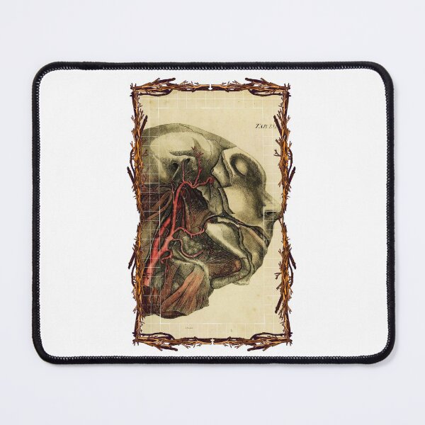 Item preview, Placas anatómicas carotídeas: diseños anatómicos, placas para cuerpo humano y anatomía designed and sold by AdvanceDesign.