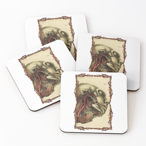 Artikelvorschau, Anatomische Platten der Halsschlagader - Anatomische Designs, menschlicher Körper und Anatomieplatten entworfen und verkauft von AdvanceDesign.