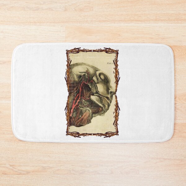 Item preview, Anatomical board Carotid - Anatomical designs, human body and anatomy boards designed and sold by AdvanceDesign.