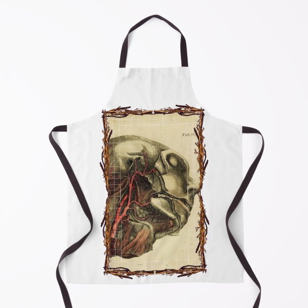Item preview, Anatomical board Carotid - Anatomical designs, human body and anatomy boards designed and sold by AdvanceDesign.