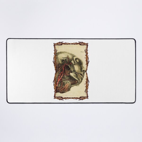 Item preview, Anatomical board Carotid - Anatomical designs, human body and anatomy boards designed and sold by AdvanceDesign.