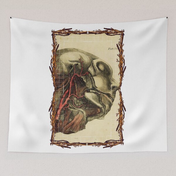 Item preview, Anatomical board Carotid - Anatomical designs, human body and anatomy boards designed and sold by AdvanceDesign.