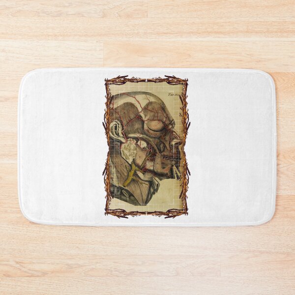 Item preview, Anatomical board Cranial vascular system - Anatomical designs, human body and anatomy boards designed and sold by AdvanceDesign.