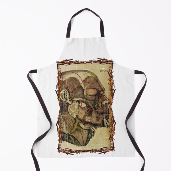 Item preview, Anatomical board Cranial vascular system - Anatomical designs, human body and anatomy boards designed and sold by AdvanceDesign.