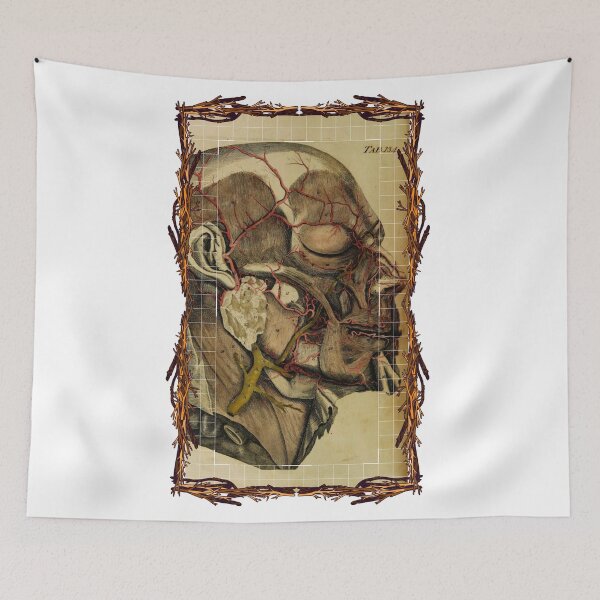 Item preview, Anatomical board Cranial vascular system - Anatomical designs, human body and anatomy boards designed and sold by AdvanceDesign.