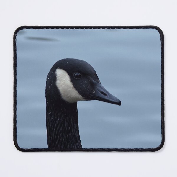 Item preview, Canada Goose, at Alkington Woods, Manchester, UK designed and sold by PicsByTony.