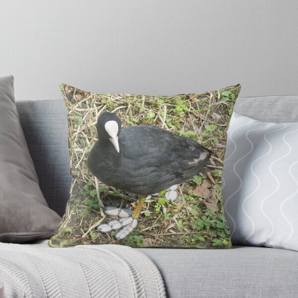 Item preview, Coot with Big Funny Feet Photograph designed and sold by naturegallery.