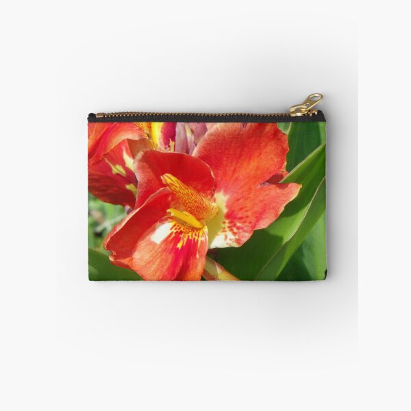 Item preview, Canna Lily designed and sold by Bob Hardy.