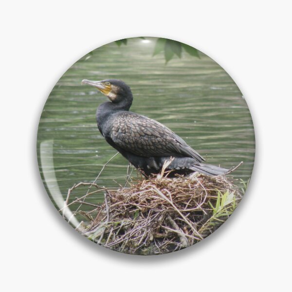 Item preview, Cormorant on a Nest Photograph designed and sold by naturegallery.