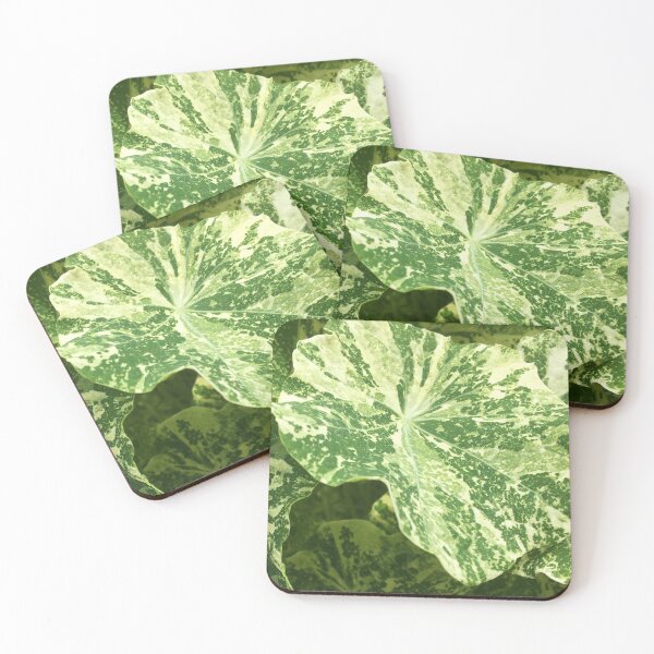 Item preview, Variegated Leaf Cream and Green designed and sold by Jenie Yolland.
