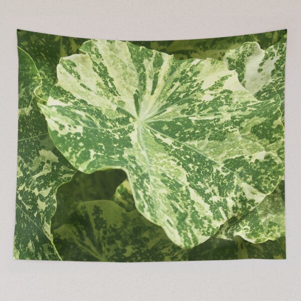 Item preview, Variegated Leaf Cream and Green designed and sold by Jenie Yolland.