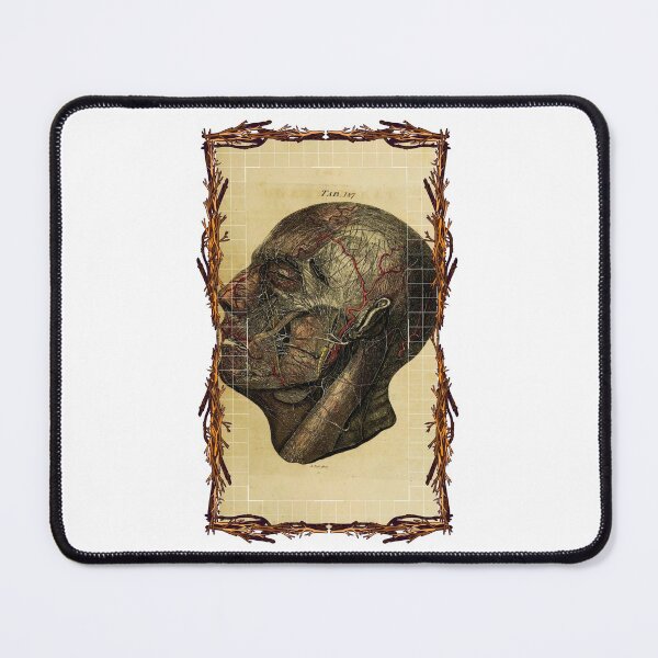 Item preview, Tablero anatómico de cabeza: diseños anatómicos, tableros de anatomía y cuerpo humano designed and sold by AdvanceDesign.