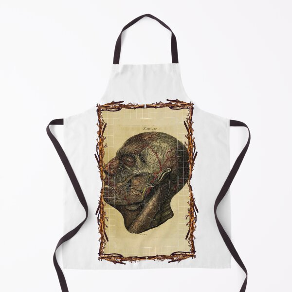 Item preview, Anatomical board Head - Anatomical designs, human body and anatomy boards designed and sold by AdvanceDesign.