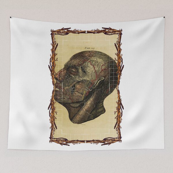 Item preview, Anatomical board Head - Anatomical designs, human body and anatomy boards designed and sold by AdvanceDesign.