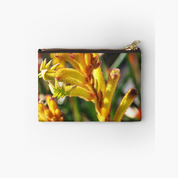 Item preview, Kangaroo Paw Plant designed and sold by Bev Pascoe.