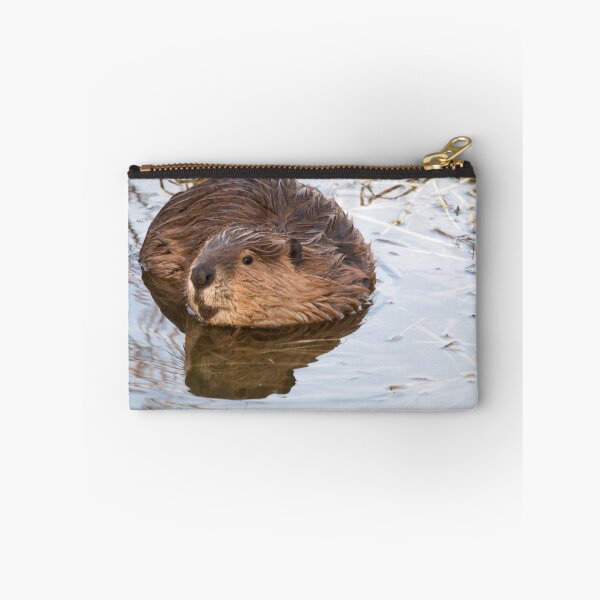 Item preview, Beaver designed and sold by Eivor Kuchta.