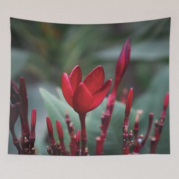 Item preview, Red Tulip designed and sold by Vansh Arora.