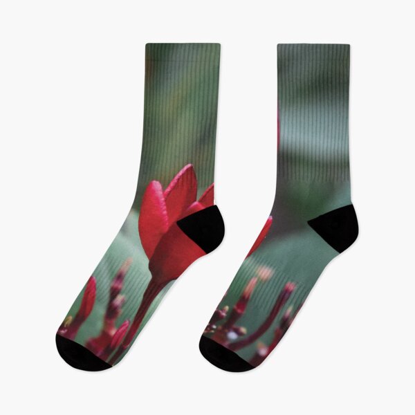 Item preview, Red Tulip designed and sold by Vansh Arora.