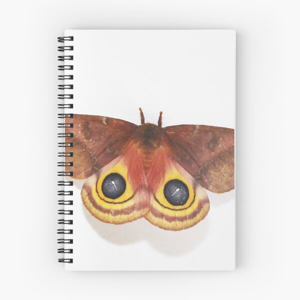 Item preview, Female Io Moth designed and sold by Alice  Becky Kahn.