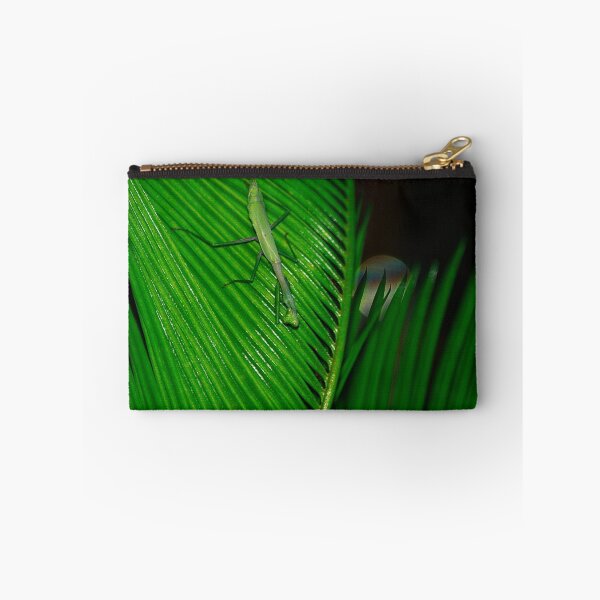 Artikelvorschau, Hey You, Put That Leaf Back Down! entworfen und verkauft von Brenda Burnett.