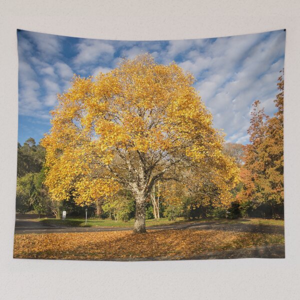 Item preview, A touch of Autumn  designed and sold by Martina Fagan.