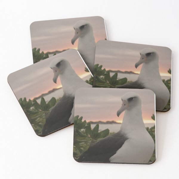 Item preview, Albatross Bird designed and sold by Jodes16.