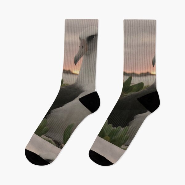 Item preview, Pájaro albatros designed and sold by Jodes16.