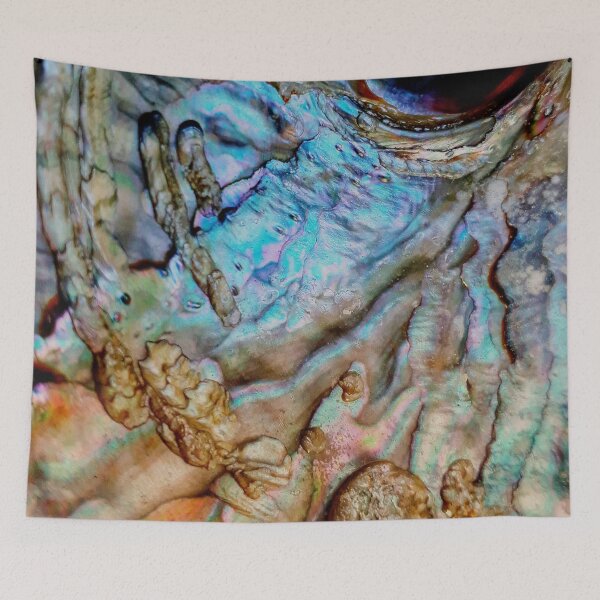 Item preview, IMAGE PRINT ONLY Art in Nature Abalone Shell Natural Art Crowded Climb to The Way Out designed and sold by Beachy.
