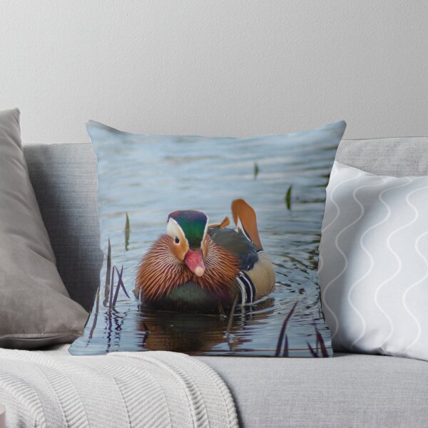 Item preview, Mandarin duck at the pond designed and sold by koalas1414.