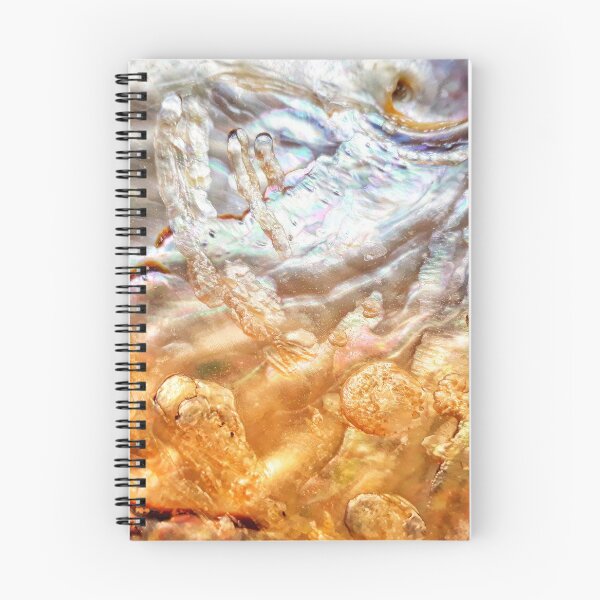 Item preview, IMAGE PRINT ONLY Art in Nature Abalone Shell Natural Art Cosmic Sea Turtles and Friends designed and sold by Beachy.