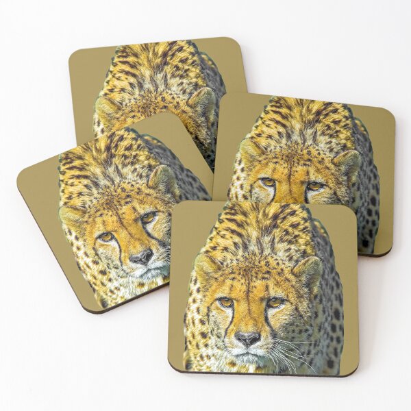 Item preview, Cheetah on the hunt designed and sold by Dalyndigital Photography.