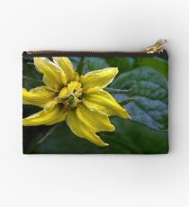 Promise of Good Things to Come Studio Pouch