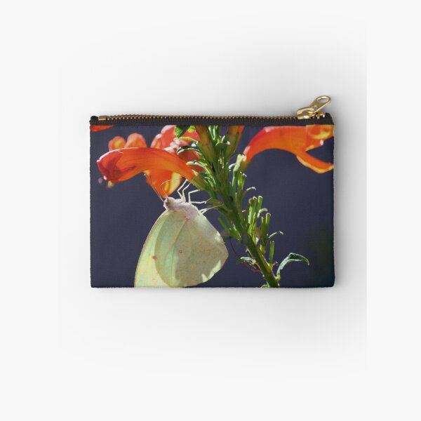 Item preview, Afrikaanse swerwer - Catopsilia florella - African Migrant designed and sold by Rina Greeff.