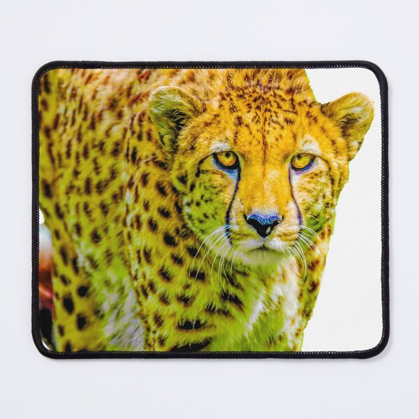 Item preview, Cheetah prowl designed and sold by Dalyndigital Photography.