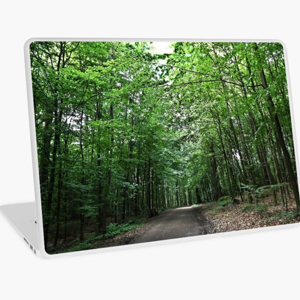 Too Lost To Cry Laptop Skin