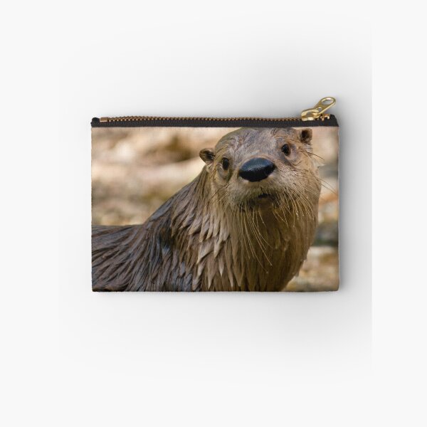 Item preview, I Think I Otter Get Back In The Water designed and sold by TeresaB.