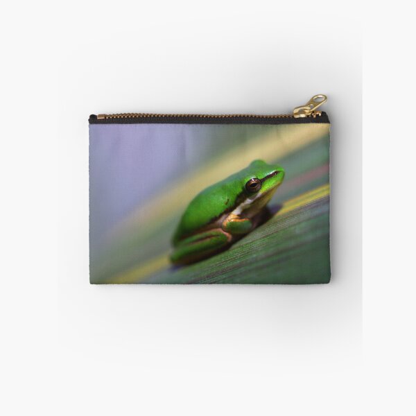 Item preview, Litoria fallax  designed and sold by andrachne.