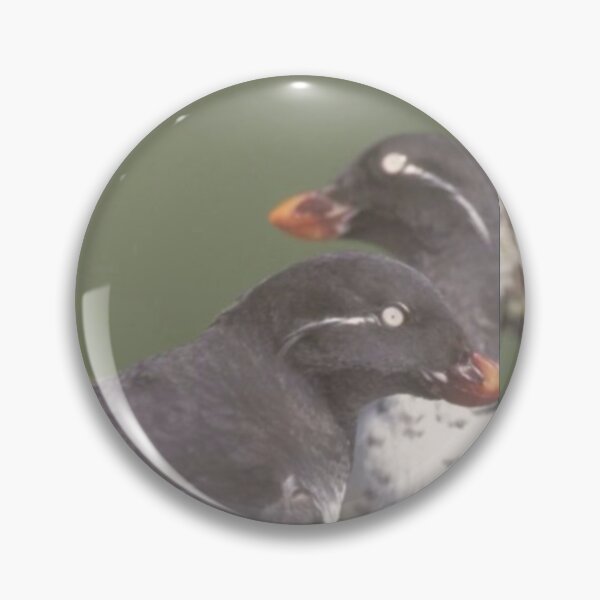 Item preview, Auklets Animals designed and sold by Jodes16.