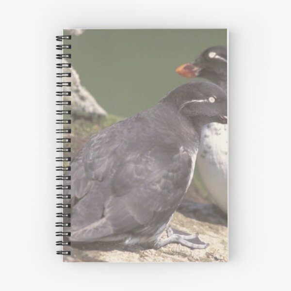 Item preview, Auklets Animals designed and sold by Jodes16.