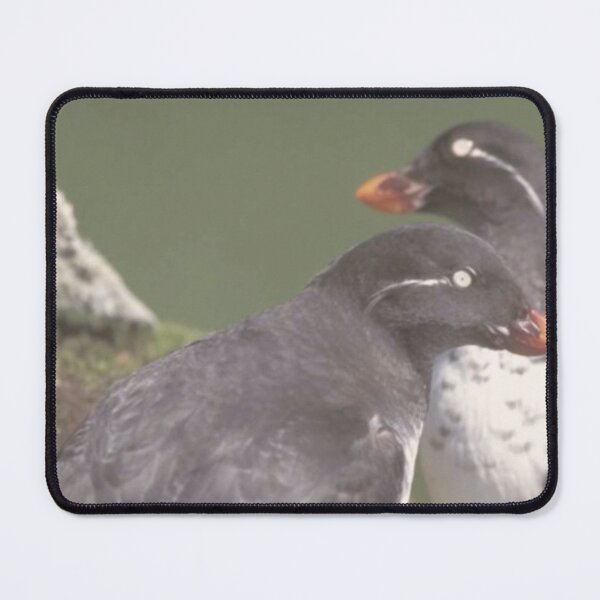 Item preview, Auklets Animals designed and sold by Jodes16.
