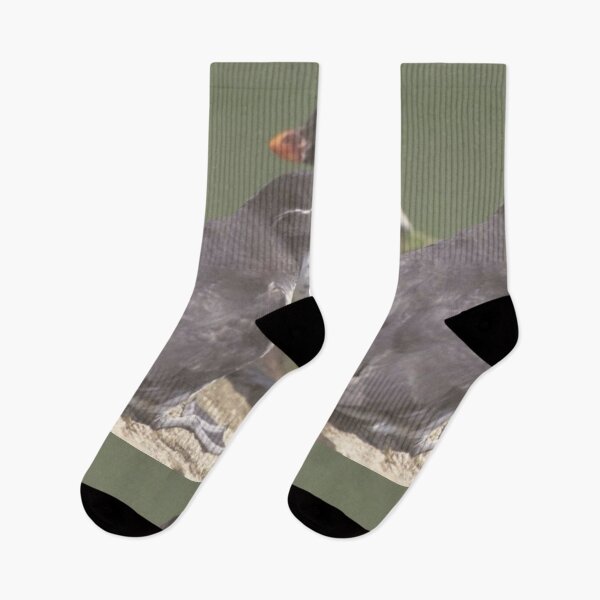 Item preview, Auklets Animals designed and sold by Jodes16.