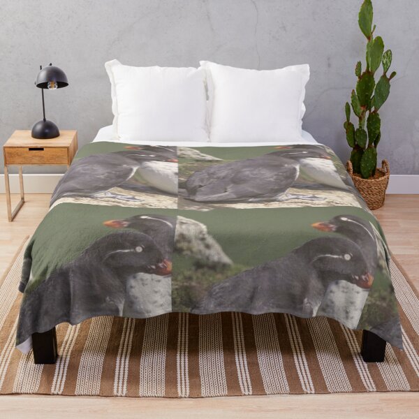 Item preview, Auklets Animals designed and sold by Jodes16.